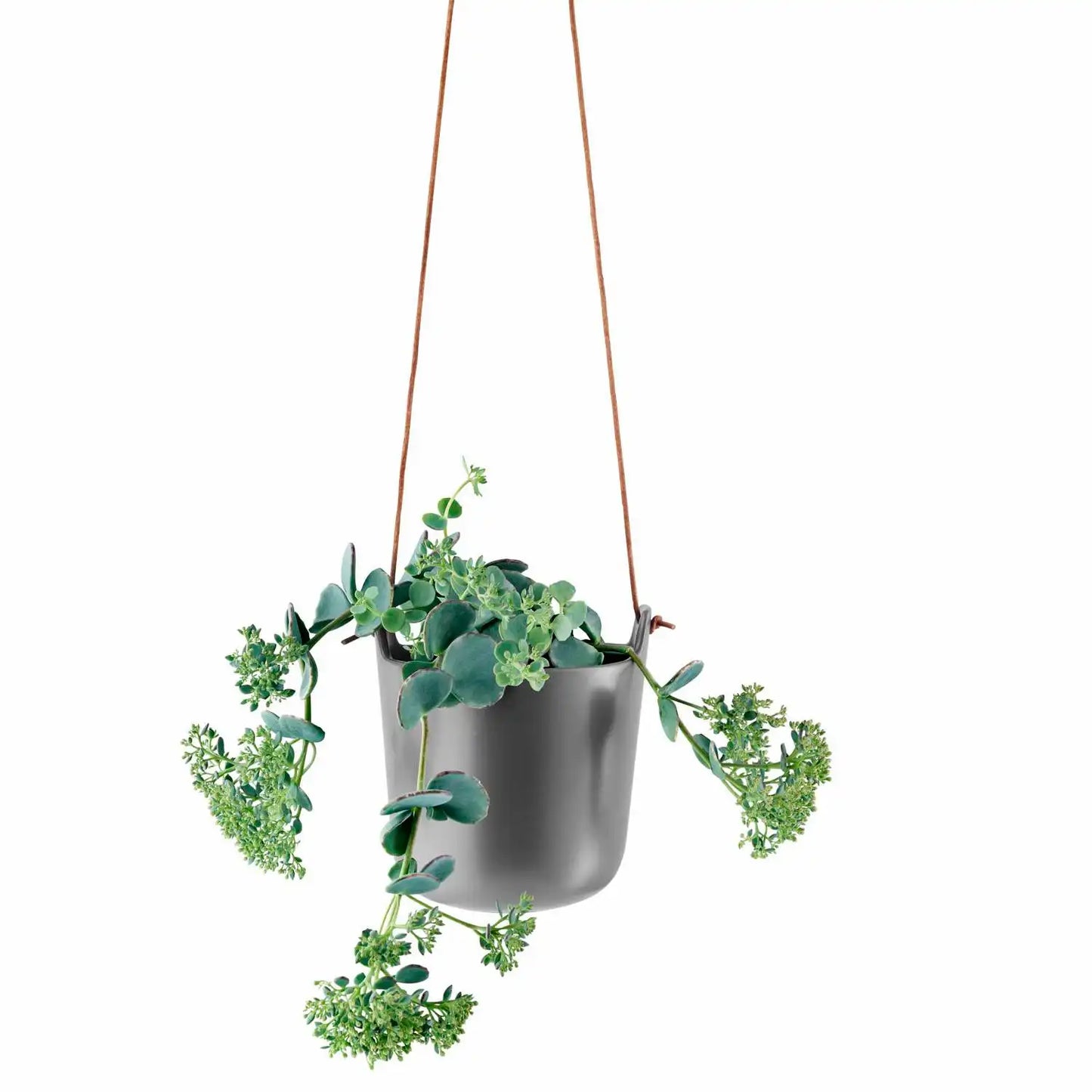 Selfwatering pots hanging Nordic grey