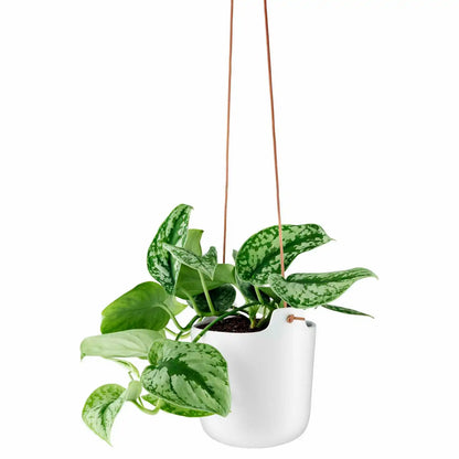 Selfwatering pots hanging Clay white