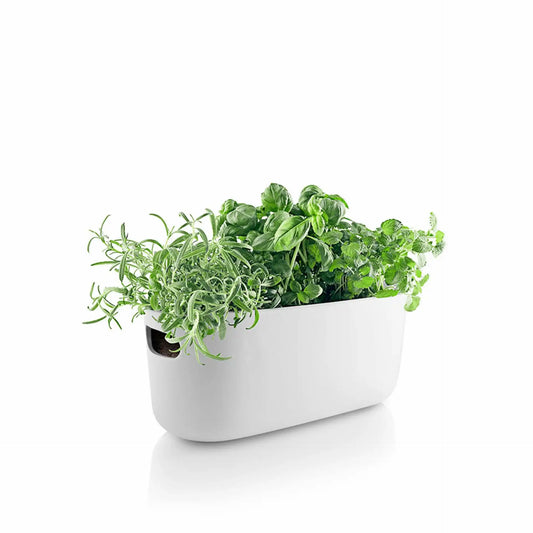 Self-watering herb organiser white