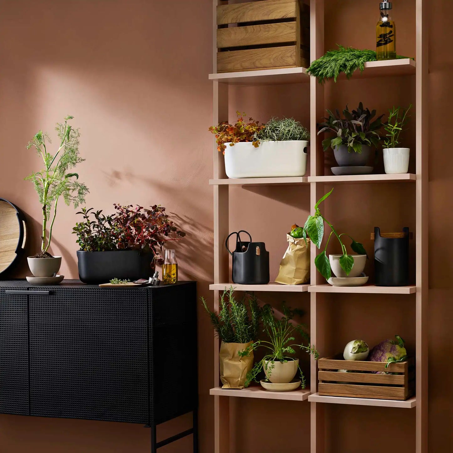 Self-watering herb organiser black