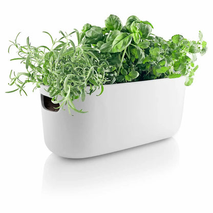 Self-watering herb organiser white