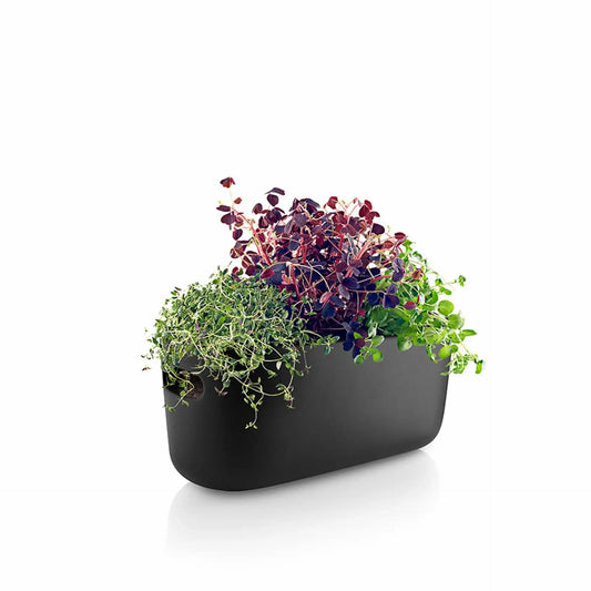 Self-watering herb organiser black