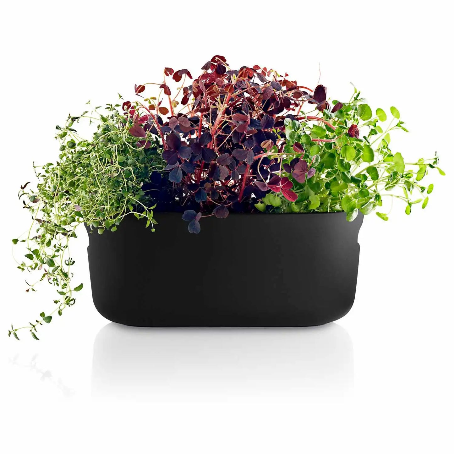 Self-watering herb organiser black