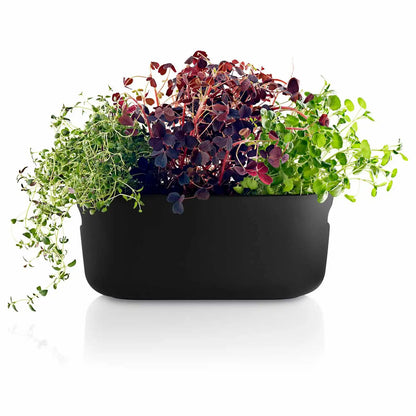 Self-watering herb organiser black