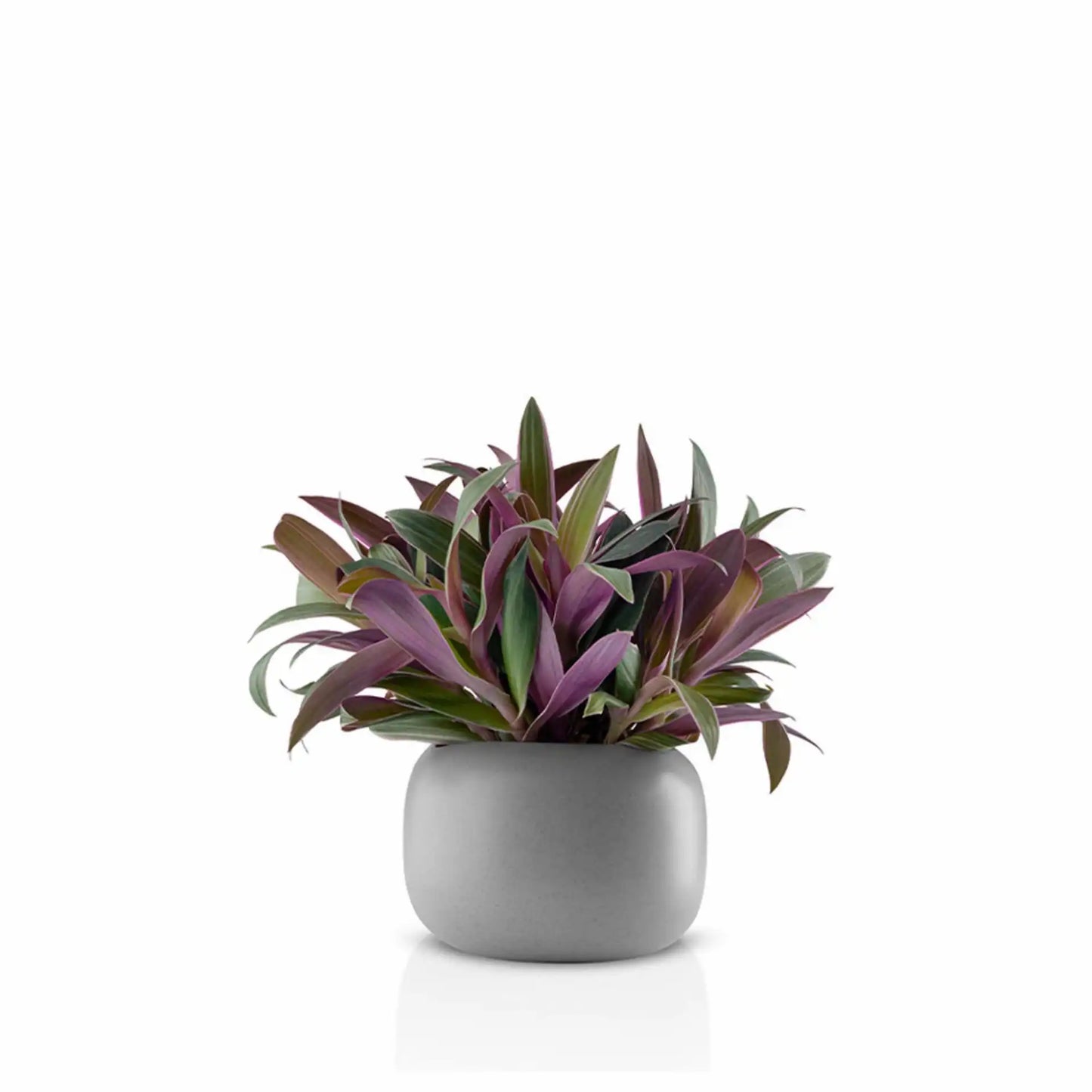 Stone flowerpot