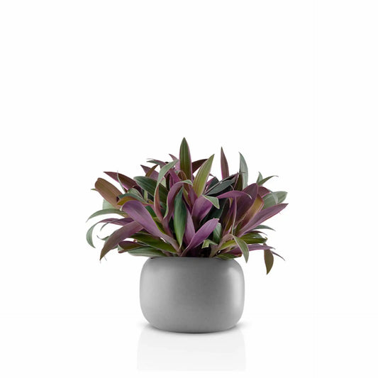 Stone flowerpot