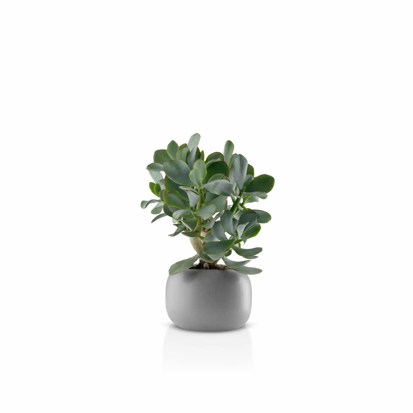 Stone flowerpot