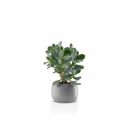 Stone flowerpot