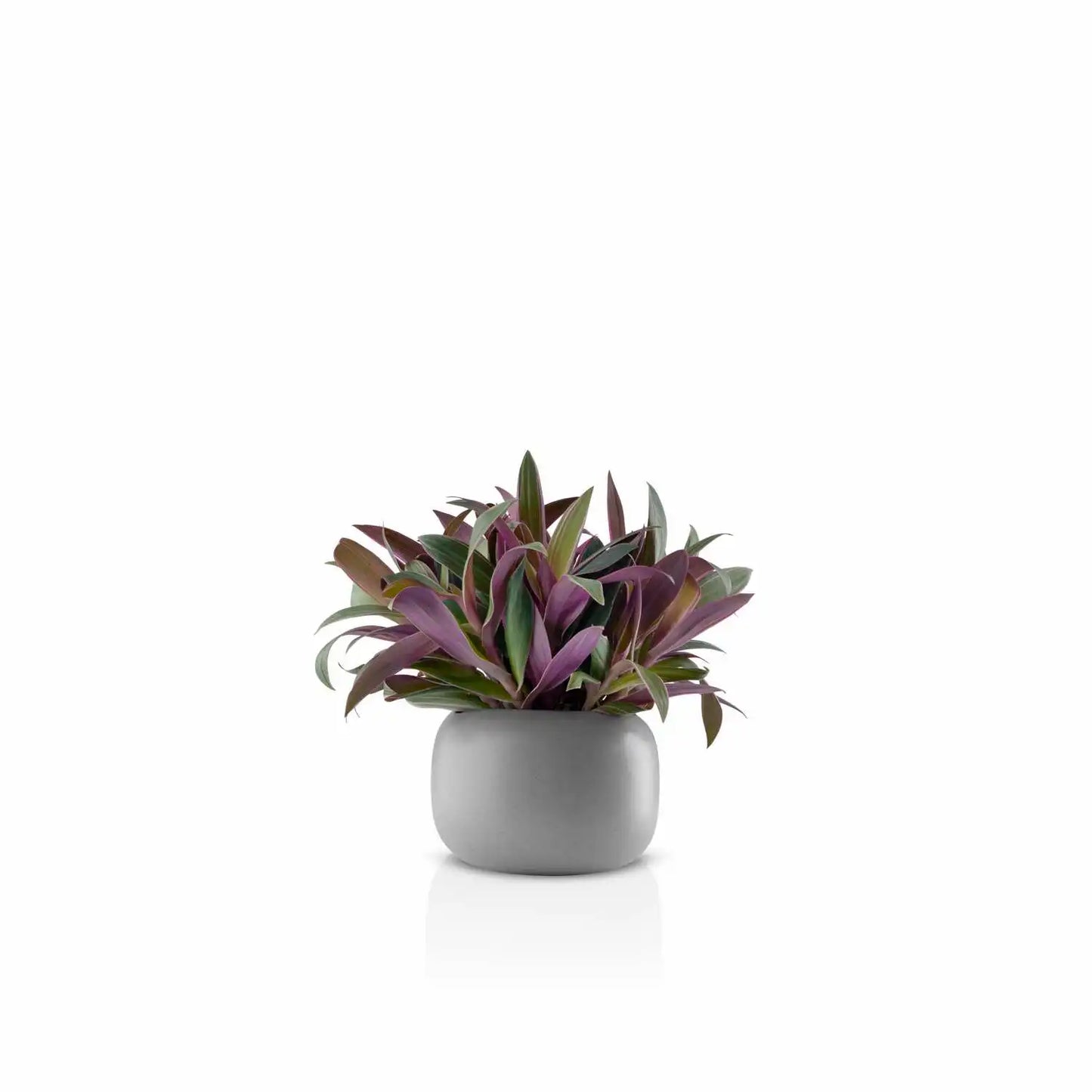 Stone flowerpot