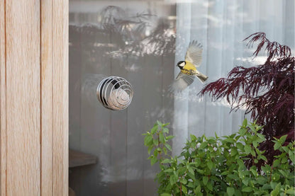 Window suet bird feeder
