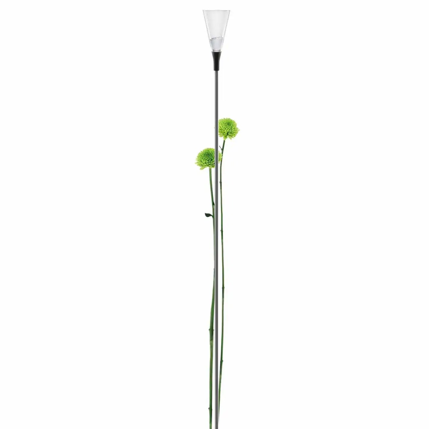 Rain gauge