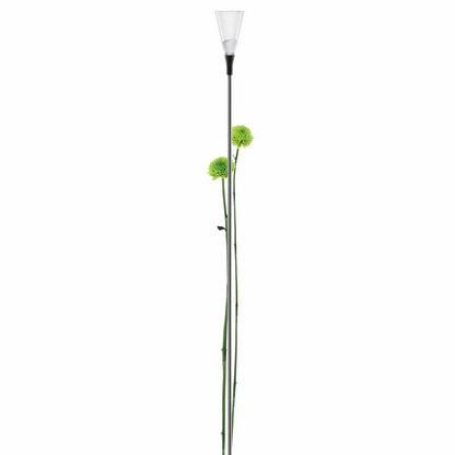 Rain gauge