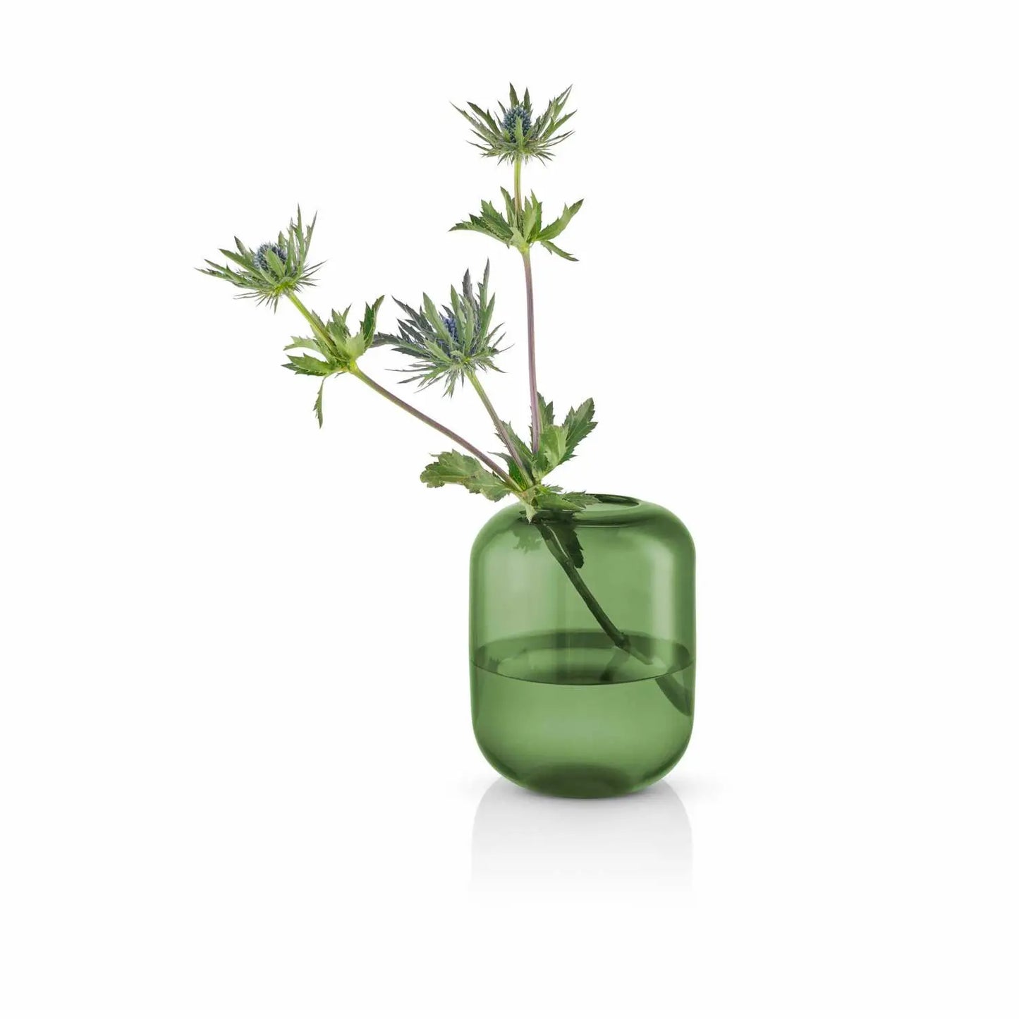 Acorn Vase Pine