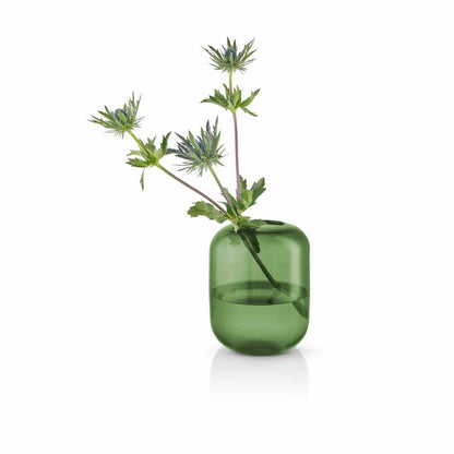 Acorn Vase Pine