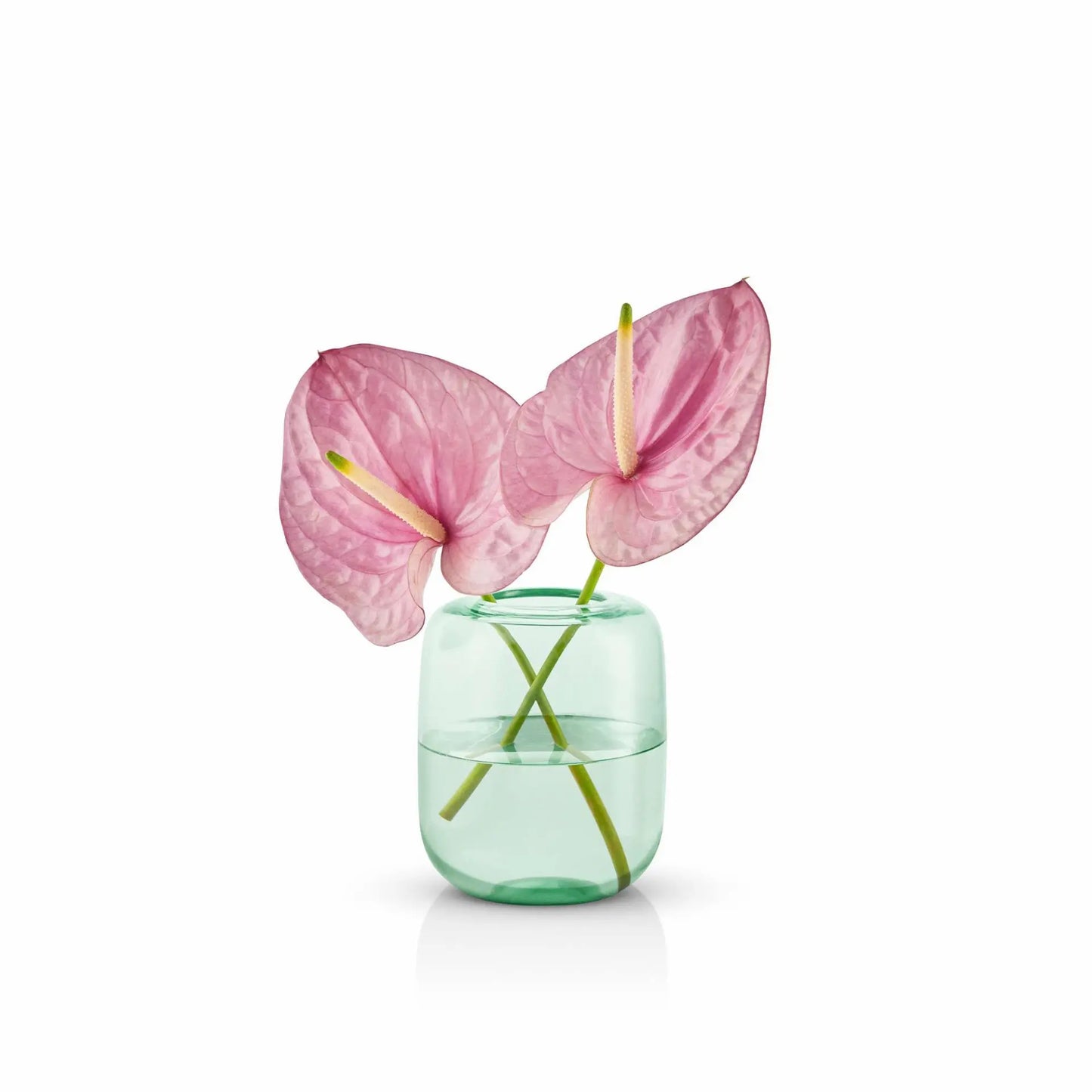 Acorn Vase Mint Green