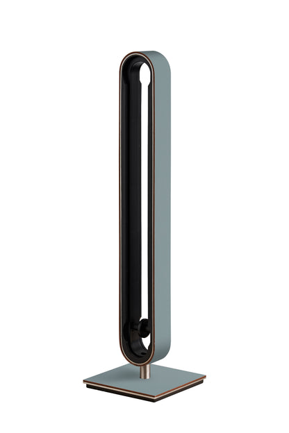 Capsule Holder