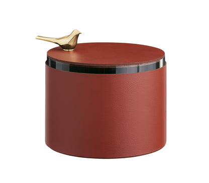 Box Bird