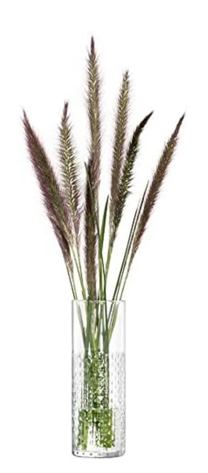 Wicker Vase  Transparent