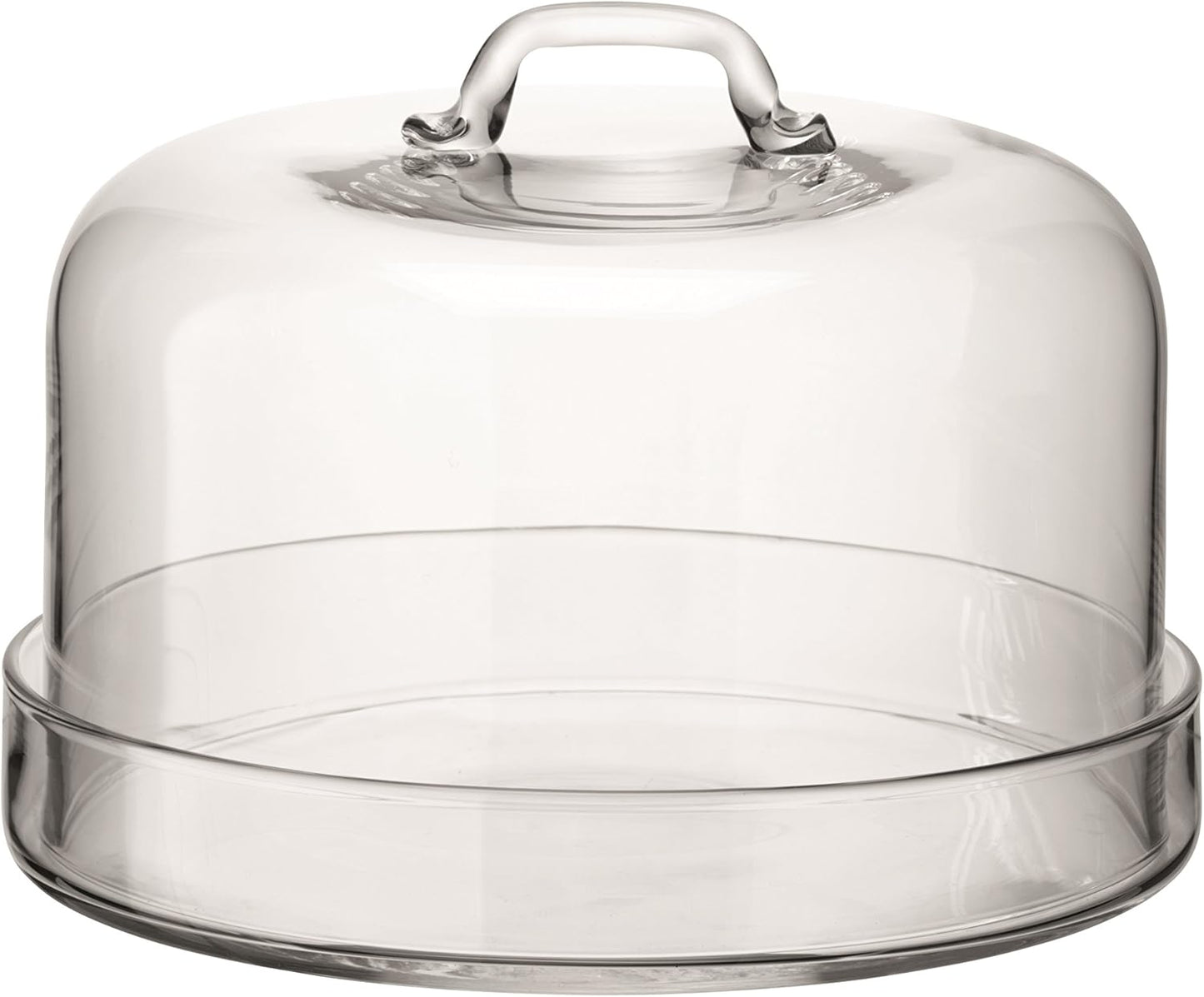 Serve Plate & Dome