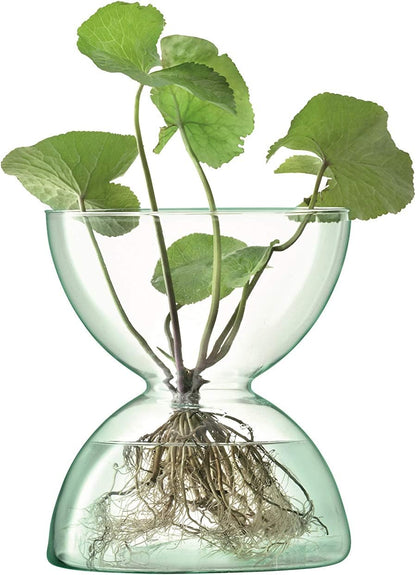 Canopy Vase H24cm Clear