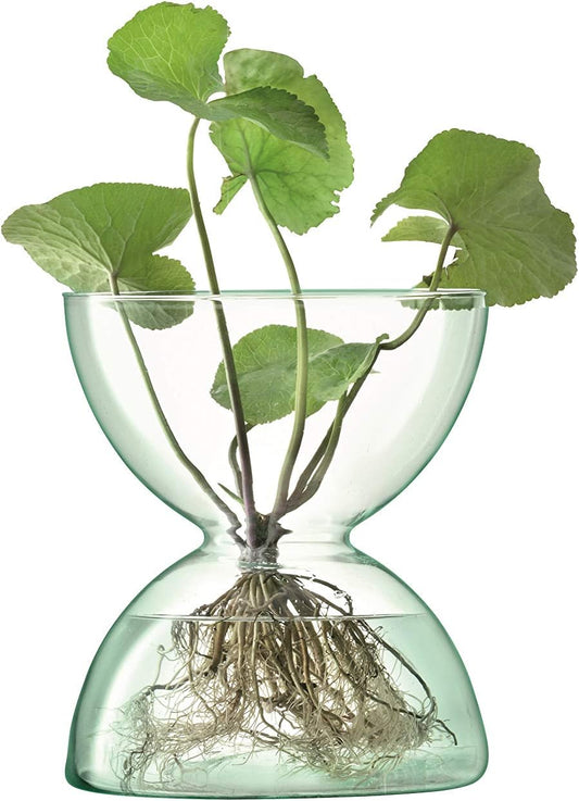 Canopy Vase H24cm Clear