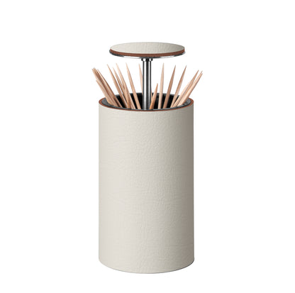 Toothpick Holder
