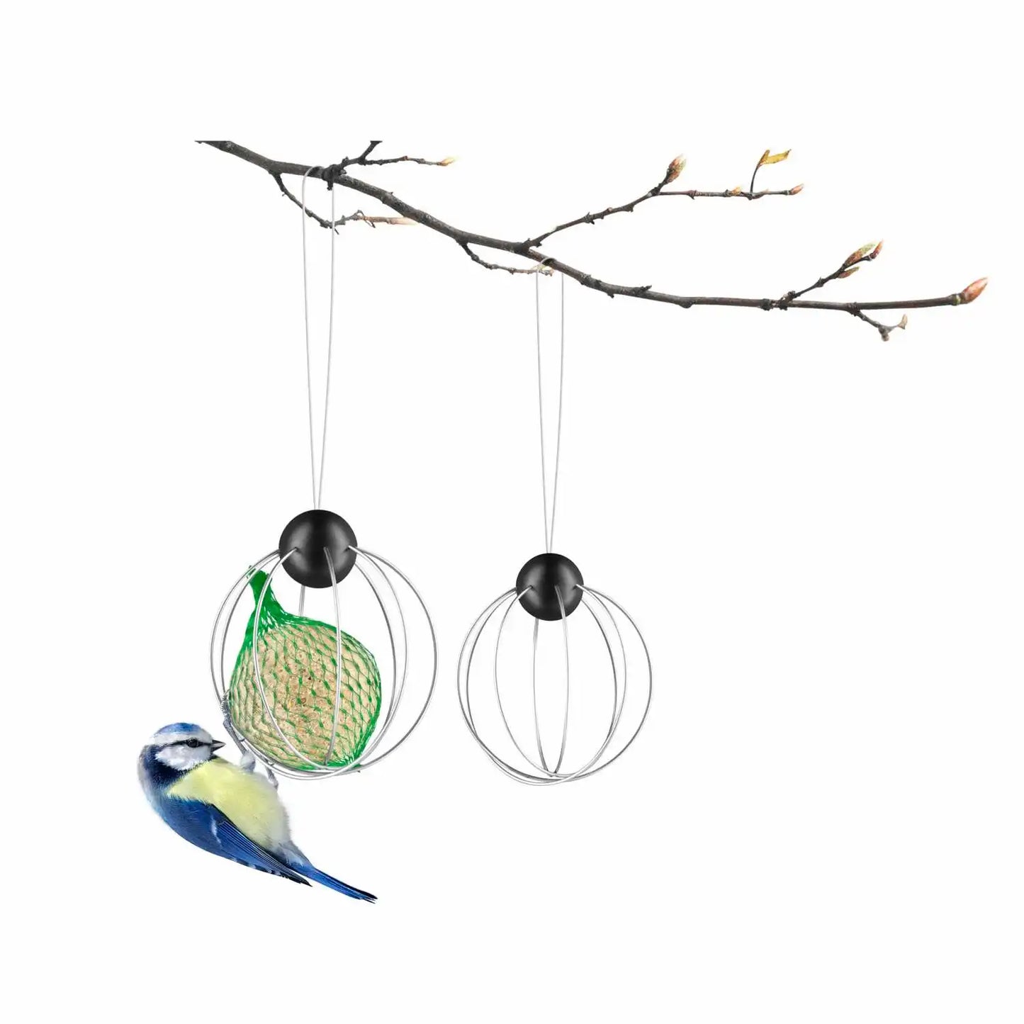 Suet Bird Feeders Set Of 2