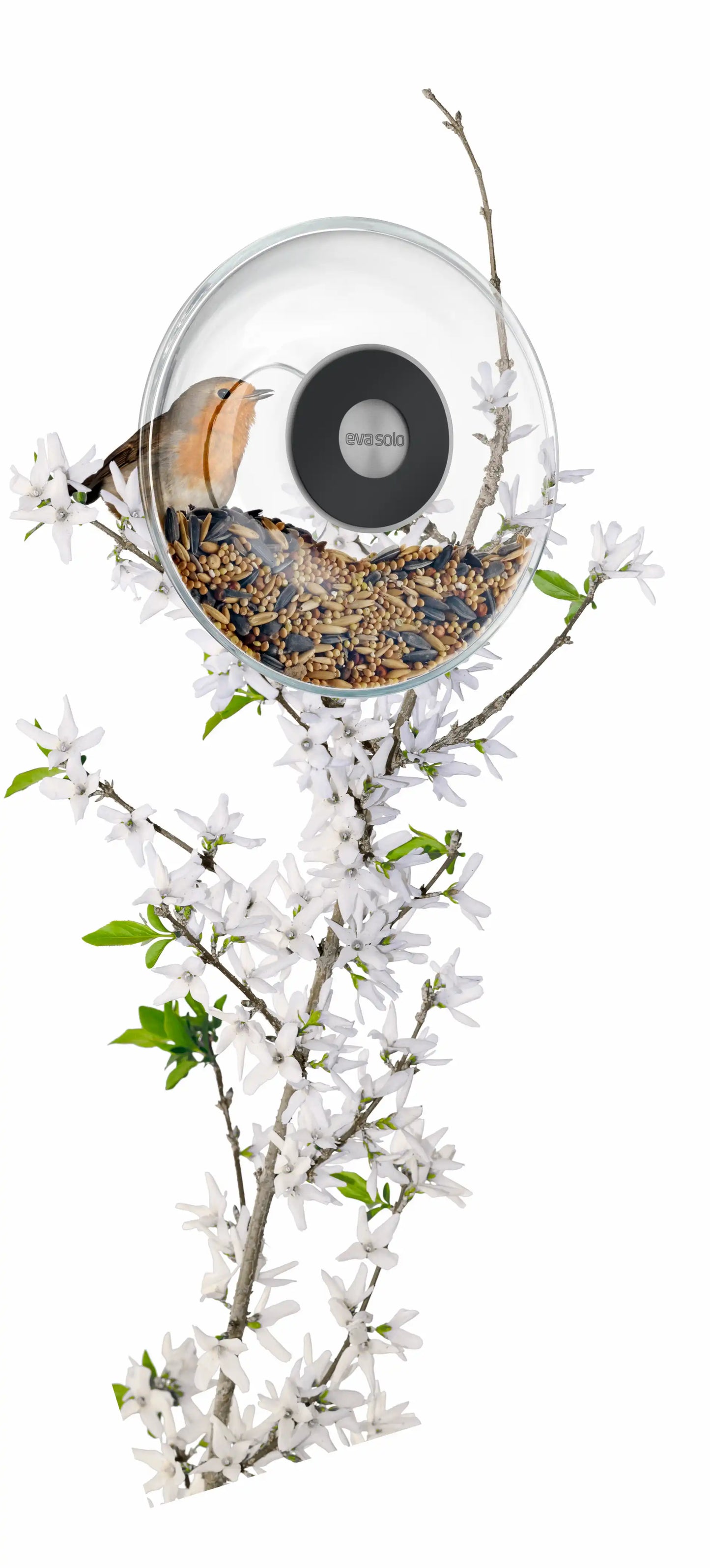 Window Bird Feeder - Small