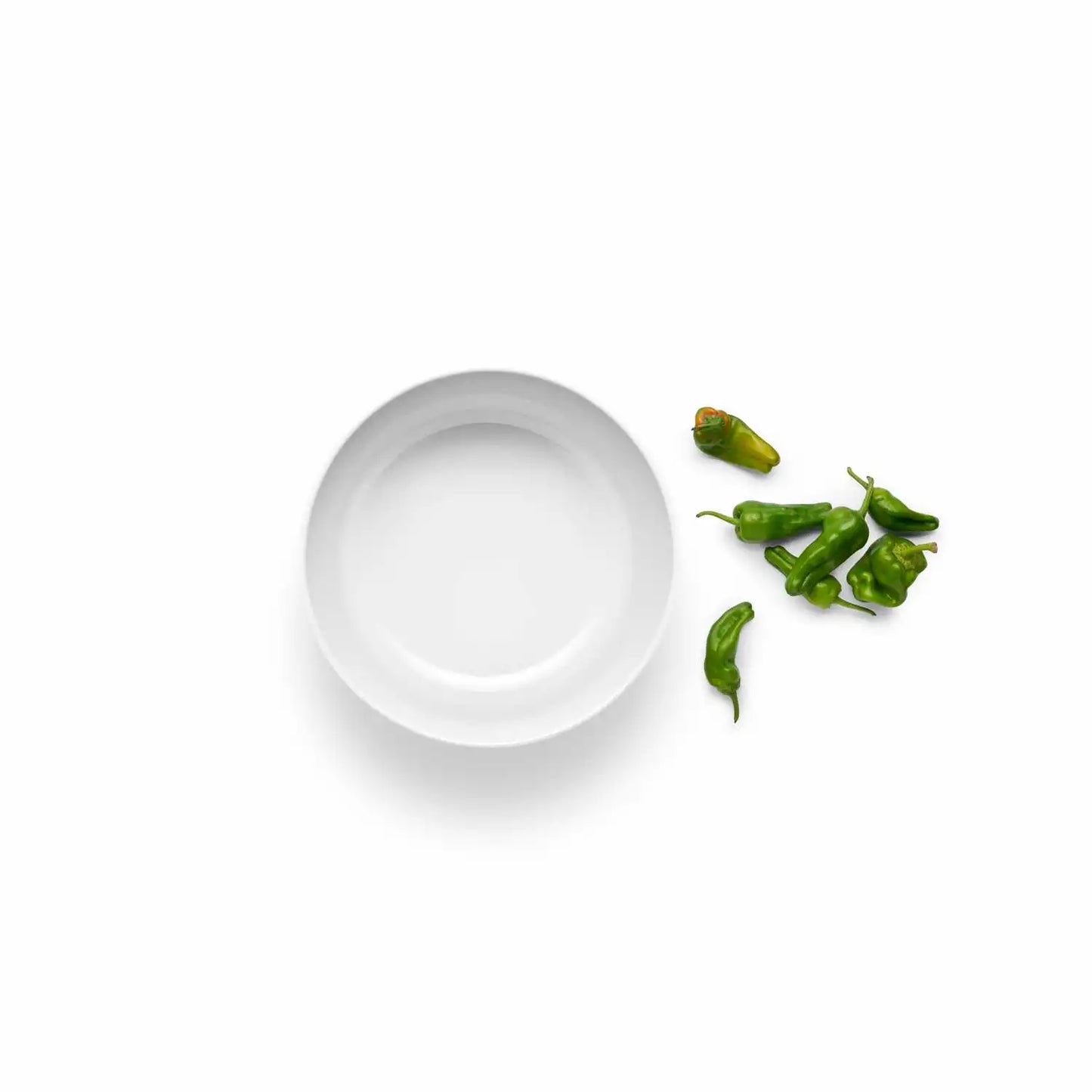Legio Nova bowl - 3.75 l
