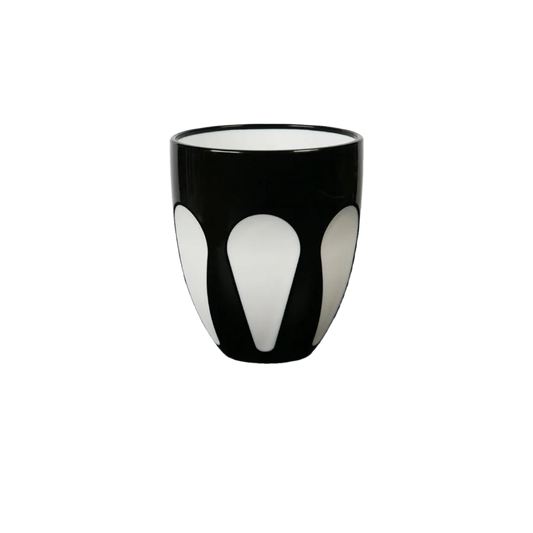 Aqua Bi-Color Acrylic Water Glass