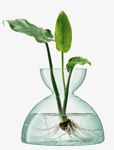 Canopy Vase H18cm Clear