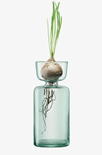 Canopy Vase/Bulb Planter H20cm Clear