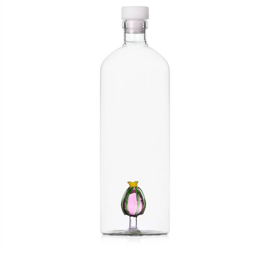 Bottle cactus pink flower