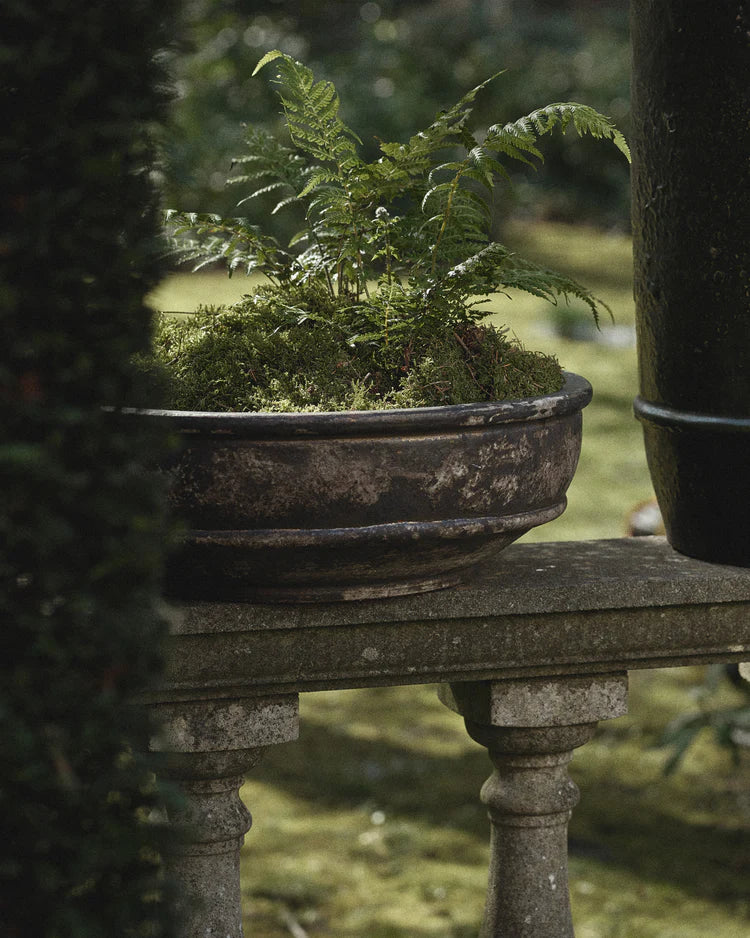 Planter Bowl 02 L