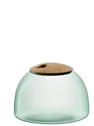 Canopy Closed Dome Planter - Tall