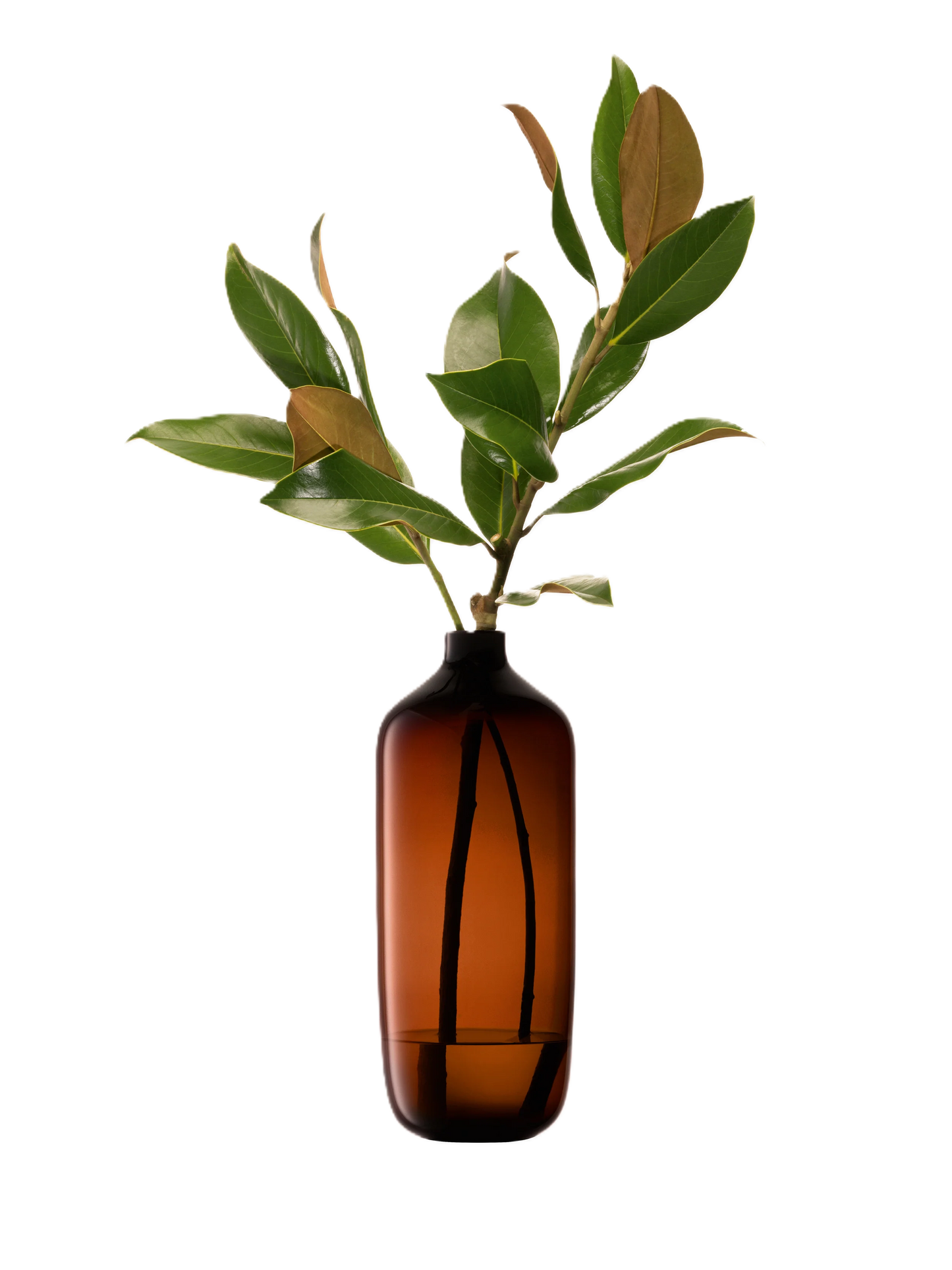 Vessel Vase