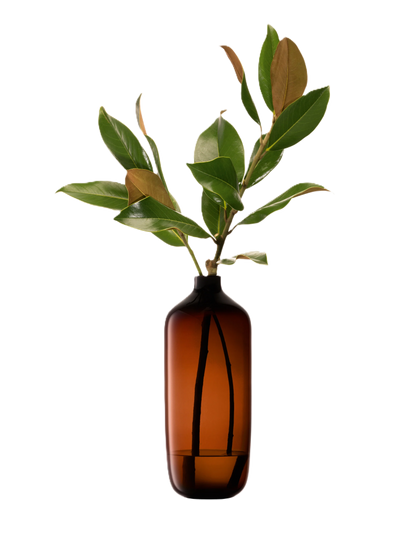 Vessel Vase