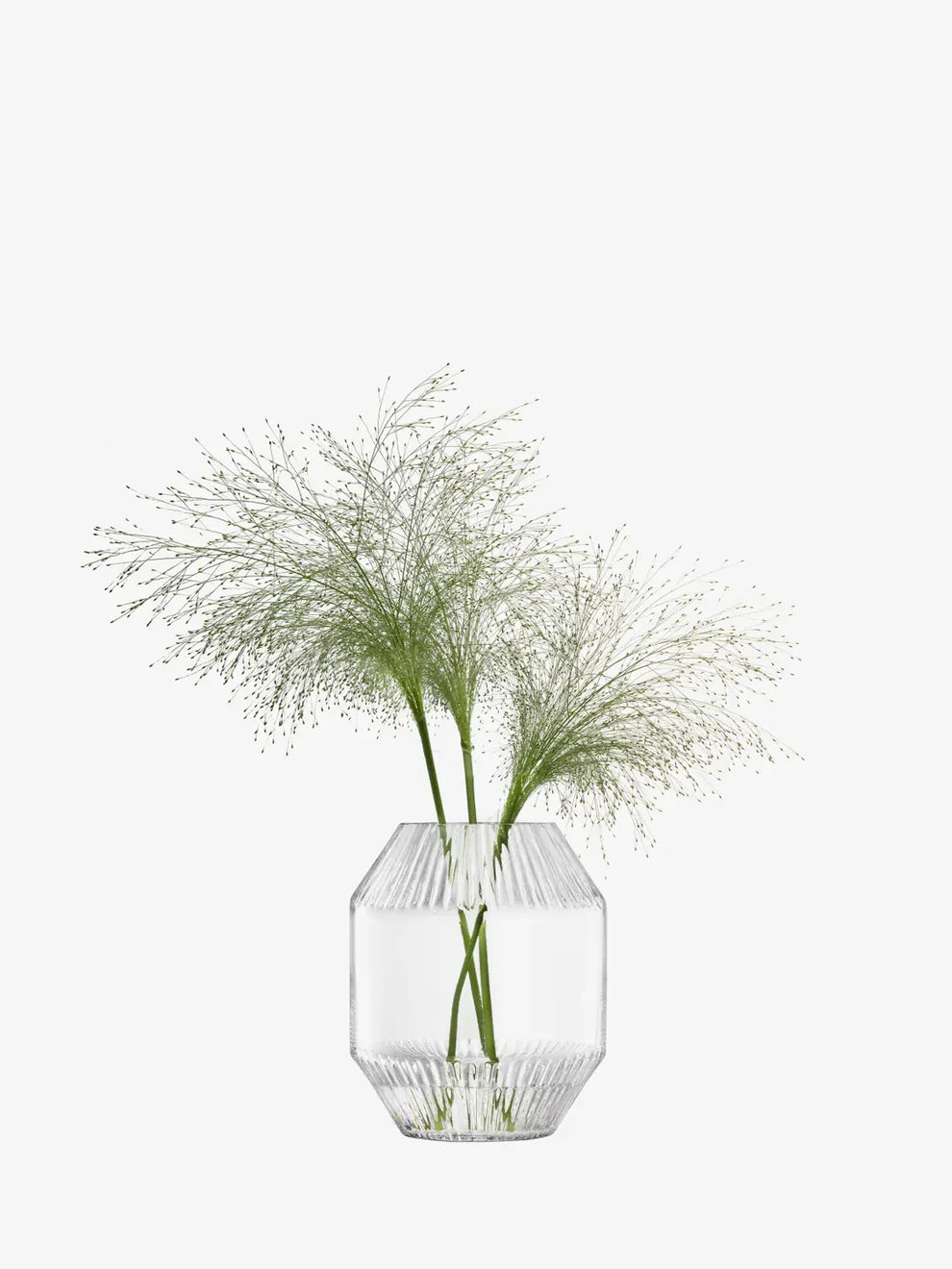Rotunda Vase H20cm Clear