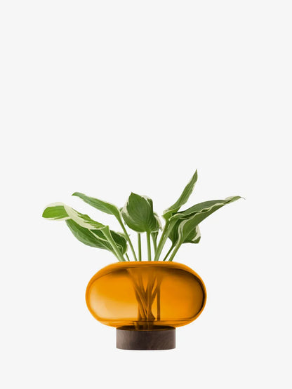 Oblate Vase/Lantern - Amber