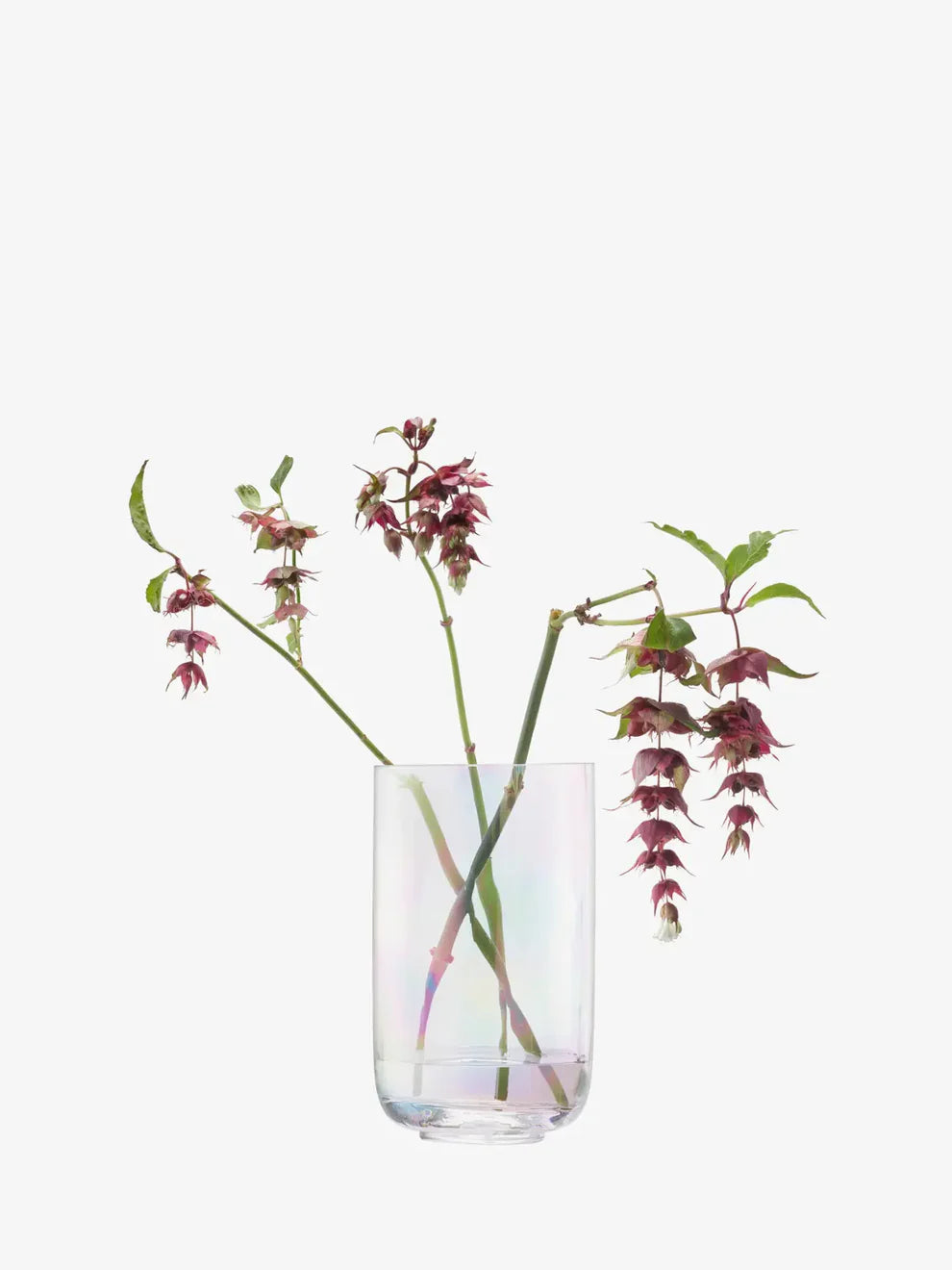 Pearl Lantern/Vase H18.5cm Mother of Pearl