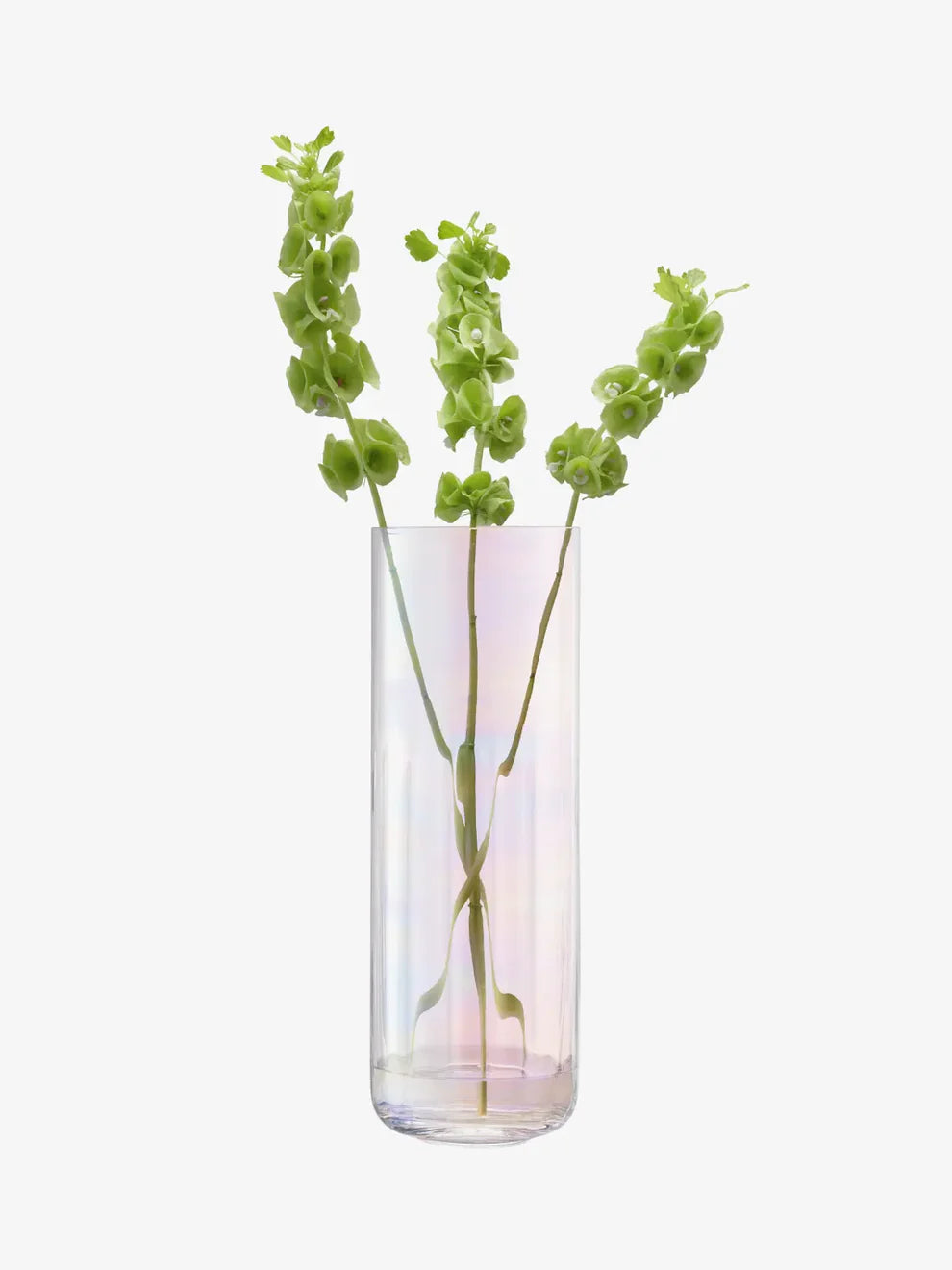 Pearl Lantern/Vase H38.5cm Mother of Pearl