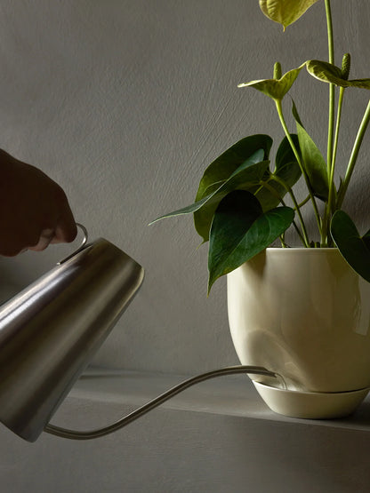Hydrous Planter Ashen