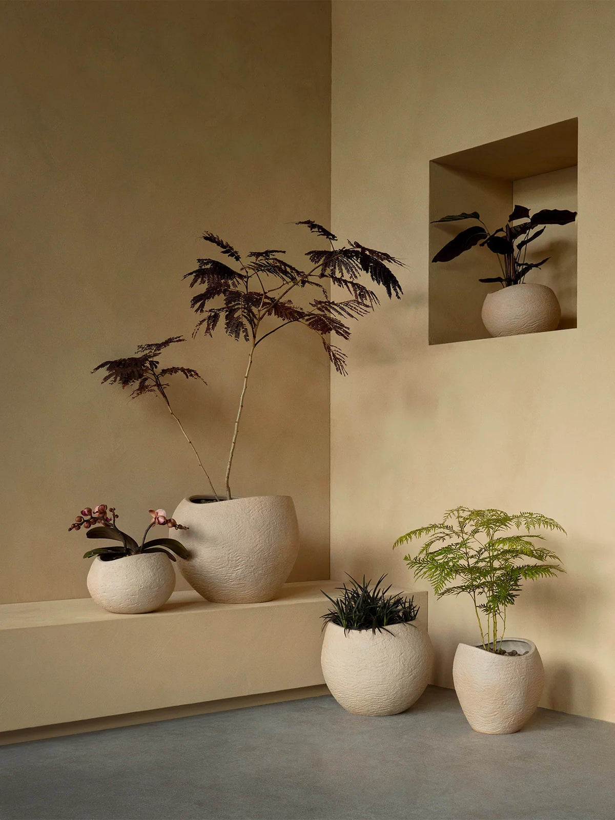 Plantas Planter Ivory