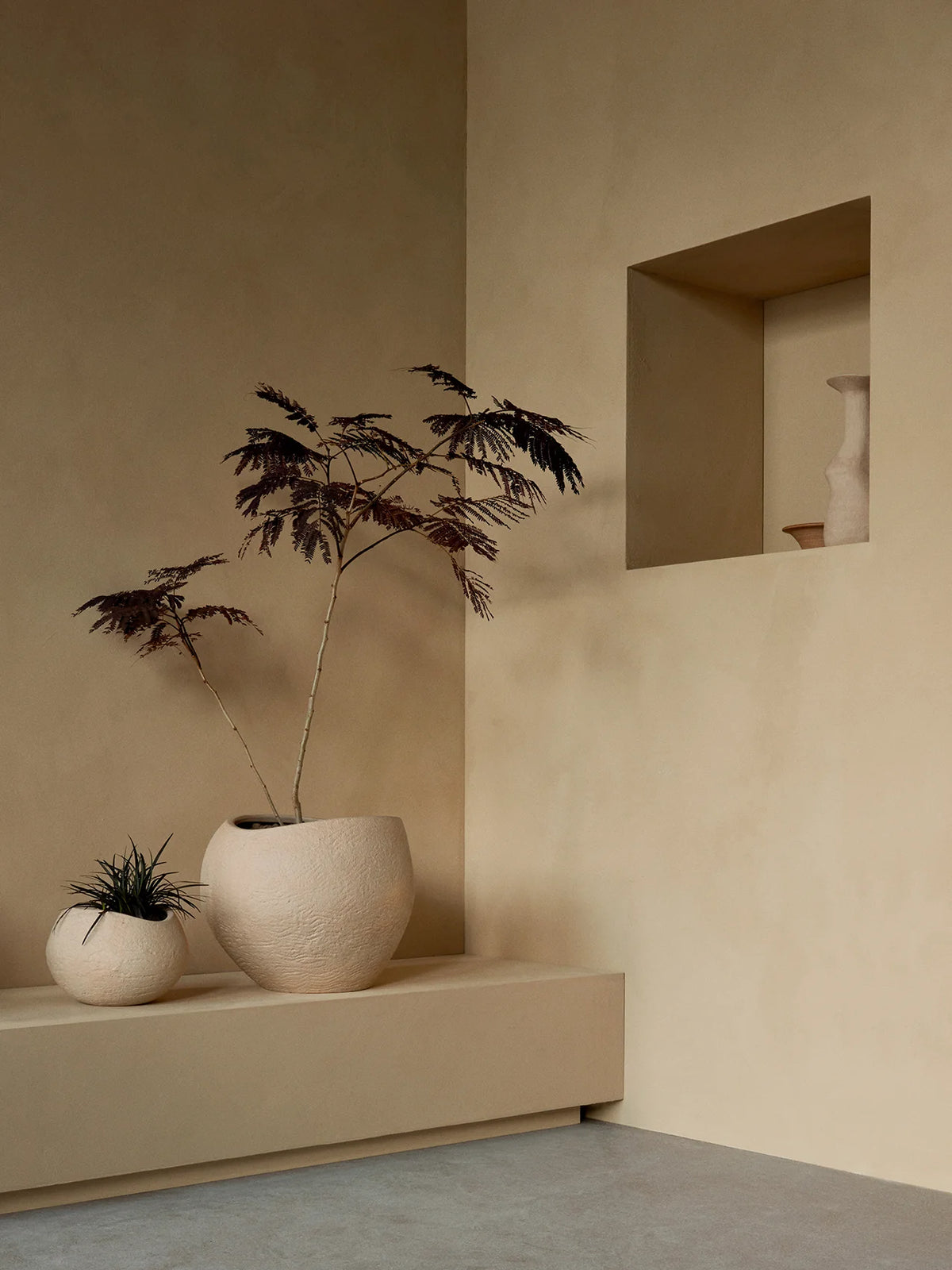 Plantas Planter Ivory