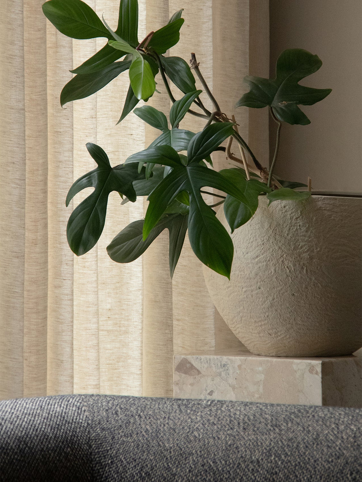 Plantas Planter Ivory