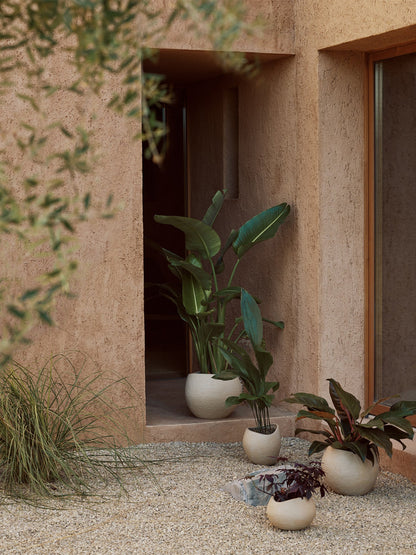 Plantas Planter Ivory