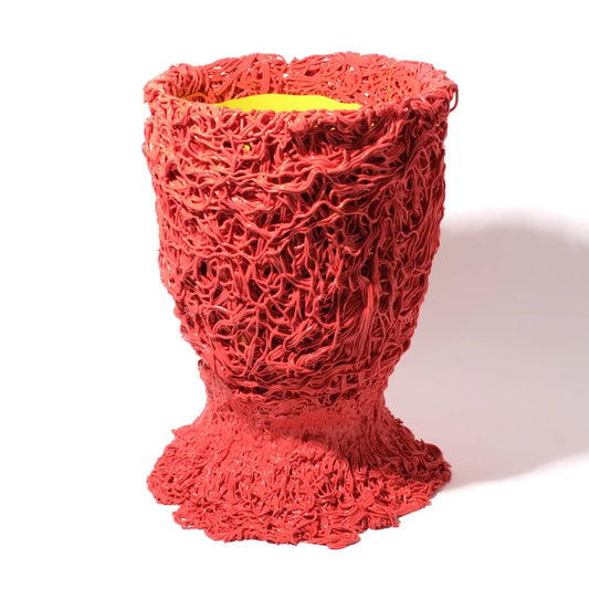 Moss Vase - Matt Sorbet And Fluo Yellow