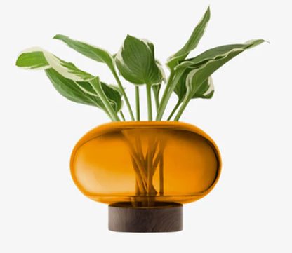 Oblate Vase/Lantern - Amber