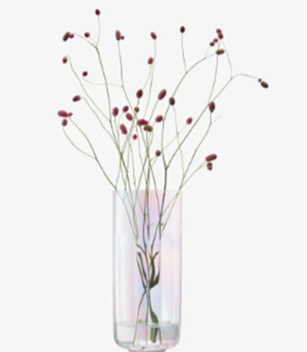 Pearl Lantern/Vase H28.5cm Mother of Pearl