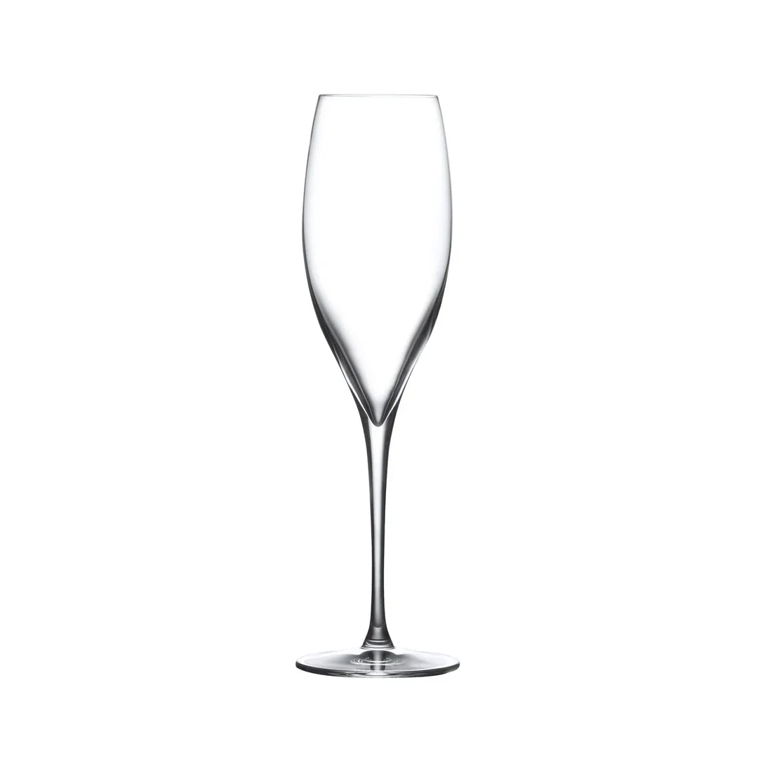 Terroir Set of 6pcs Champagne